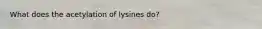 What does the acetylation of lysines do?