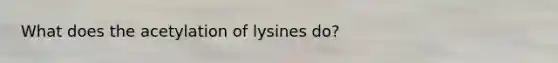 What does the acetylation of lysines do?