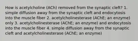 How is acetylcholine (ACh) removed from the synaptic cleft? 1. simple diffusion away from the synaptic cleft and endocytosis into the muscle fiber 2. acetylcholinesterase (AChE; an enzyme) only 3. acetylcholinesterase (AChE; an enzyme) and endocytosis into the muscle fiber 4. simple diffusion away from the synaptic cleft and acetylcholinesterase (AChE; an enzyme)