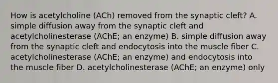 How is acetylcholine (ACh) removed from the synaptic cleft? A. simple diffusion away from the synaptic cleft and acetylcholinesterase (AChE; an enzyme) B. simple diffusion away from the synaptic cleft and endocytosis into the muscle fiber C. acetylcholinesterase (AChE; an enzyme) and endocytosis into the muscle fiber D. acetylcholinesterase (AChE; an enzyme) only