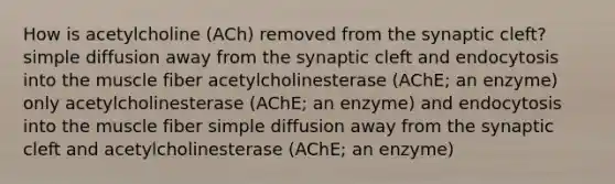 How is acetylcholine (ACh) removed from the synaptic cleft? simple diffusion away from the synaptic cleft and endocytosis into the muscle fiber acetylcholinesterase (AChE; an enzyme) only acetylcholinesterase (AChE; an enzyme) and endocytosis into the muscle fiber simple diffusion away from the synaptic cleft and acetylcholinesterase (AChE; an enzyme)