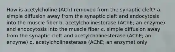 How is acetylcholine (ACh) removed from the synaptic cleft? a. simple diffusion away from the synaptic cleft and endocytosis into the muscle fiber b. acetylcholinesterase (AChE; an enzyme) and endocytosis into the muscle fiber c. simple diffusion away from the synaptic cleft and acetylcholinesterase (AChE; an enzyme) d. acetylcholinesterase (AChE; an enzyme) only