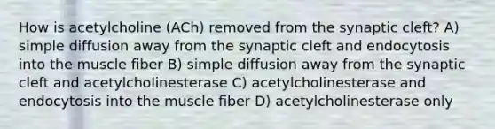 How is acetylcholine (ACh) removed from the synaptic cleft? A) simple diffusion away from the synaptic cleft and endocytosis into the muscle fiber B) simple diffusion away from the synaptic cleft and acetylcholinesterase C) acetylcholinesterase and endocytosis into the muscle fiber D) acetylcholinesterase only