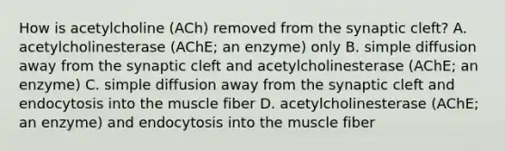 How is acetylcholine (ACh) removed from the synaptic cleft? A. acetylcholinesterase (AChE; an enzyme) only B. simple diffusion away from the synaptic cleft and acetylcholinesterase (AChE; an enzyme) C. simple diffusion away from the synaptic cleft and endocytosis into the muscle fiber D. acetylcholinesterase (AChE; an enzyme) and endocytosis into the muscle fiber