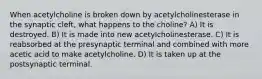 When acetylcholine is broken down by acetylcholinesterase in the synaptic cleft, what happens to the choline? A) It is destroyed. B) It is made into new acetylcholinesterase. C) It is reabsorbed at the presynaptic terminal and combined with more acetic acid to make acetylcholine. D) It is taken up at the postsynaptic terminal.