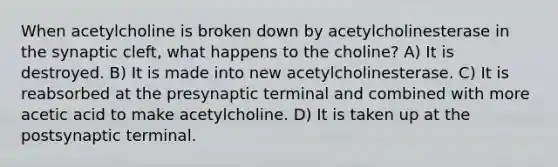 When acetylcholine is broken down by acetylcholinesterase in the synaptic cleft, what happens to the choline? A) It is destroyed. B) It is made into new acetylcholinesterase. C) It is reabsorbed at the presynaptic terminal and combined with more acetic acid to make acetylcholine. D) It is taken up at the postsynaptic terminal.