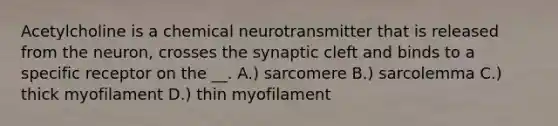 Acetylcholine is a chemical neurotransmitter that is released from the neuron, crosses the synaptic cleft and binds to a specific receptor on the __. A.) sarcomere B.) sarcolemma C.) thick myofilament D.) thin myofilament