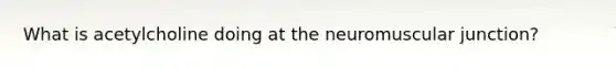 What is acetylcholine doing at the neuromuscular junction?