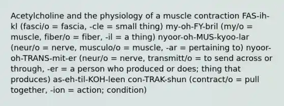 Acetylcholine and the physiology of a <a href='https://www.questionai.com/knowledge/k0LBwLeEer-muscle-contraction' class='anchor-knowledge'>muscle contraction</a> FAS-ih-kl (fasci/o = fascia, -cle = small thing) my-oh-FY-bril (my/o = muscle, fiber/o = fiber, -il = a thing) nyoor-oh-MUS-kyoo-lar (neur/o = nerve, musculo/o = muscle, -ar = pertaining to) nyoor-oh-TRANS-mit-er (neur/o = nerve, transmitt/o = to send across or through, -er = a person who produced or does; thing that produces) as-eh-til-KOH-leen con-TRAK-shun (contract/o = pull together, -ion = action; condition)