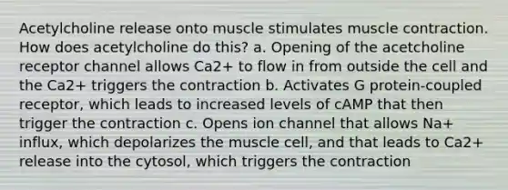 Acetylcholine release onto muscle stimulates muscle contraction. How does acetylcholine do this? a. Opening of the acetcholine receptor channel allows Ca2+ to flow in from outside the cell and the Ca2+ triggers the contraction b. Activates G protein-coupled receptor, which leads to increased levels of cAMP that then trigger the contraction c. Opens ion channel that allows Na+ influx, which depolarizes the muscle cell, and that leads to Ca2+ release into the cytosol, which triggers the contraction