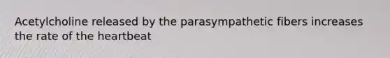 Acetylcholine released by the parasympathetic fibers increases the rate of the heartbeat