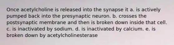 Once acetylcholine is released into <a href='https://www.questionai.com/knowledge/kTCXU7vaKU-the-synapse' class='anchor-knowledge'>the synapse</a> it a. is actively pumped back into the presynaptic neuron. b. crosses the postsynaptic membrane and then is broken down inside that cell. c. is inactivated by sodium. d. is inactivated by calcium. e. is broken down by acetylcholinesterase