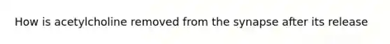 How is acetylcholine removed from the synapse after its release