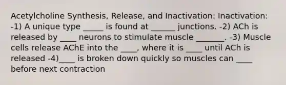 Acetylcholine Synthesis, Release, and Inactivation: Inactivation: -1) A unique type _____ is found at ______ junctions. -2) ACh is released by ____ neurons to stimulate muscle _______. -3) Muscle cells release AChE into the ____, where it is ____ until ACh is released -4)____ is broken down quickly so muscles can ____ before next contraction