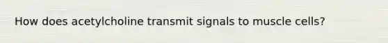 How does acetylcholine transmit signals to muscle cells?