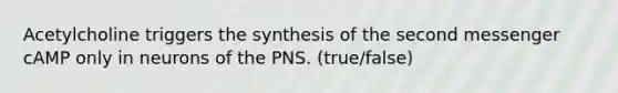 Acetylcholine triggers the synthesis of the second messenger cAMP only in neurons of the PNS. (true/false)