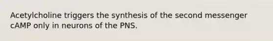 Acetylcholine triggers the synthesis of the second messenger cAMP only in neurons of the PNS.