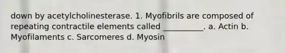 down by acetylcholinesterase. 1. Myofibrils are composed of repeating contractile elements called __________. a. Actin b. Myofilaments c. Sarcomeres d. Myosin