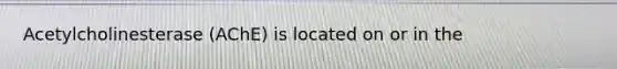 Acetylcholinesterase (AChE) is located on or in the