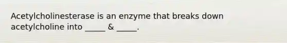 Acetylcholinesterase is an enzyme that breaks down acetylcholine into _____ & _____.