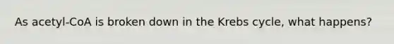 As acetyl-CoA is broken down in the Krebs cycle, what happens?