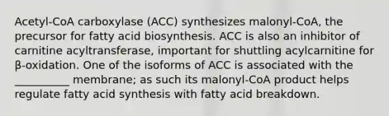 Acetyl-CoA carboxylase (ACC) synthesizes malonyl-CoA, the precursor for fatty acid biosynthesis. ACC is also an inhibitor of carnitine acyltransferase, important for shuttling acylcarnitine for β-oxidation. One of the isoforms of ACC is associated with the __________ membrane; as such its malonyl-CoA product helps regulate fatty acid synthesis with fatty acid breakdown.