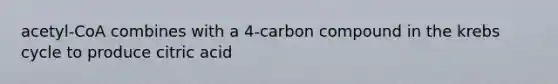 acetyl-CoA combines with a 4-carbon compound in the krebs cycle to produce citric acid