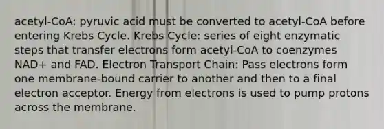 acetyl-CoA: pyruvic acid must be converted to acetyl-CoA before entering Krebs Cycle. Krebs Cycle: series of eight enzymatic steps that transfer electrons form acetyl-CoA to coenzymes NAD+ and FAD. Electron Transport Chain: Pass electrons form one membrane-bound carrier to another and then to a final electron acceptor. Energy from electrons is used to pump protons across the membrane.