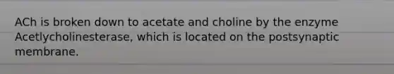 ACh is broken down to acetate and choline by the enzyme Acetlycholinesterase, which is located on the postsynaptic membrane.