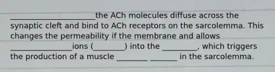 ______________________the ACh molecules diffuse across the synaptic cleft and bind to ACh receptors on the sarcolemma. This changes the permeability if the membrane and allows ________________ions (________) into the _________, which triggers the production of a muscle ________ _______ in the sarcolemma.