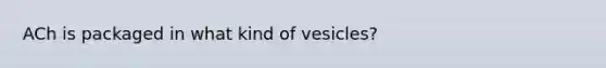 ACh is packaged in what kind of vesicles?