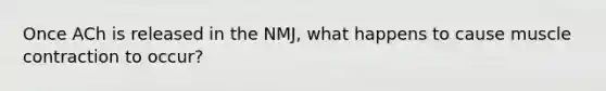 Once ACh is released in the NMJ, what happens to cause muscle contraction to occur?