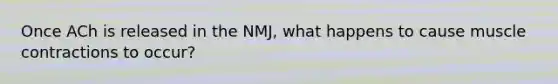 Once ACh is released in the NMJ, what happens to cause muscle contractions to occur?