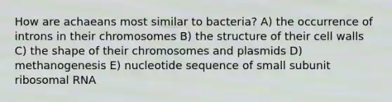 How are achaeans most similar to bacteria? A) the occurrence of introns in their chromosomes B) the structure of their cell walls C) the shape of their chromosomes and plasmids D) methanogenesis E) nucleotide sequence of small subunit <a href='https://www.questionai.com/knowledge/k4lWAiAI7W-ribosomal-rna' class='anchor-knowledge'>ribosomal rna</a>