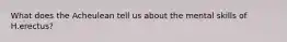 What does the Acheulean tell us about the mental skills of H.erectus?