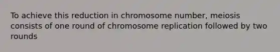 To achieve this reduction in chromosome number, meiosis consists of one round of chromosome replication followed by two rounds