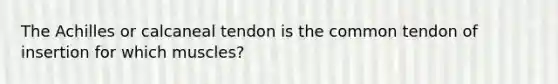 The Achilles or calcaneal tendon is the common tendon of insertion for which muscles?