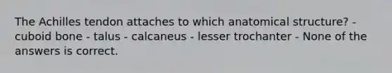 The Achilles tendon attaches to which anatomical structure? - cuboid bone - talus - calcaneus - lesser trochanter - None of the answers is correct.