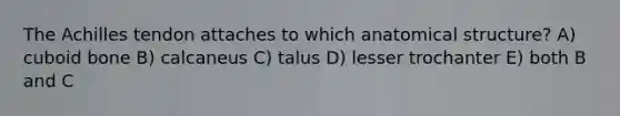 The Achilles tendon attaches to which anatomical structure? A) cuboid bone B) calcaneus C) talus D) lesser trochanter E) both B and C