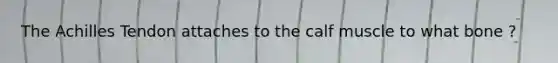 The Achilles Tendon attaches to the calf muscle to what bone ?