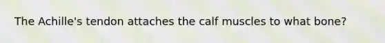 The Achille's tendon attaches the calf muscles to what bone?