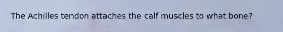 The Achilles tendon attaches the calf muscles to what bone?