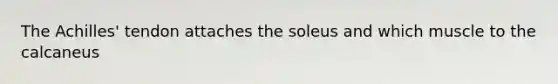 The Achilles' tendon attaches the soleus and which muscle to the calcaneus