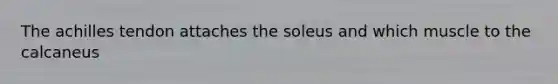 The achilles tendon attaches the soleus and which muscle to the calcaneus