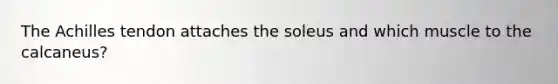 The Achilles tendon attaches the soleus and which muscle to the calcaneus?