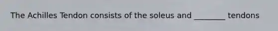 The Achilles Tendon consists of the soleus and ________ tendons