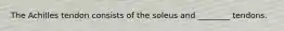 The Achilles tendon consists of the soleus and ________ tendons.