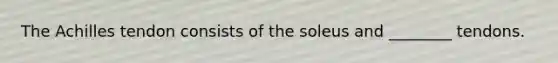 The Achilles tendon consists of the soleus and ________ tendons.