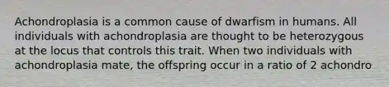 Achondroplasia is a common cause of dwarfism in humans. All individuals with achondroplasia are thought to be heterozygous at the locus that controls this trait. When two individuals with achondroplasia mate, the offspring occur in a ratio of 2 achondro