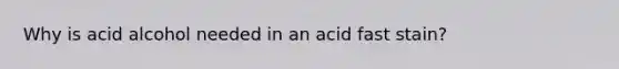 Why is acid alcohol needed in an acid fast stain?